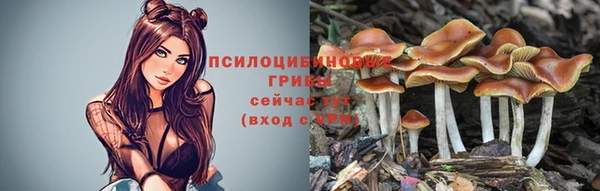 твердый Беломорск