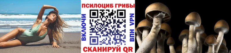 Галлюциногенные грибы ЛСД Мглин